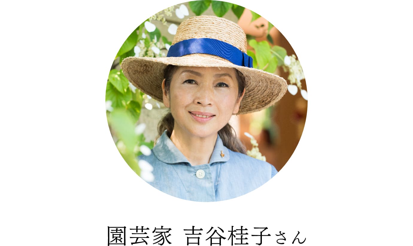 園芸家 吉谷桂子さん
