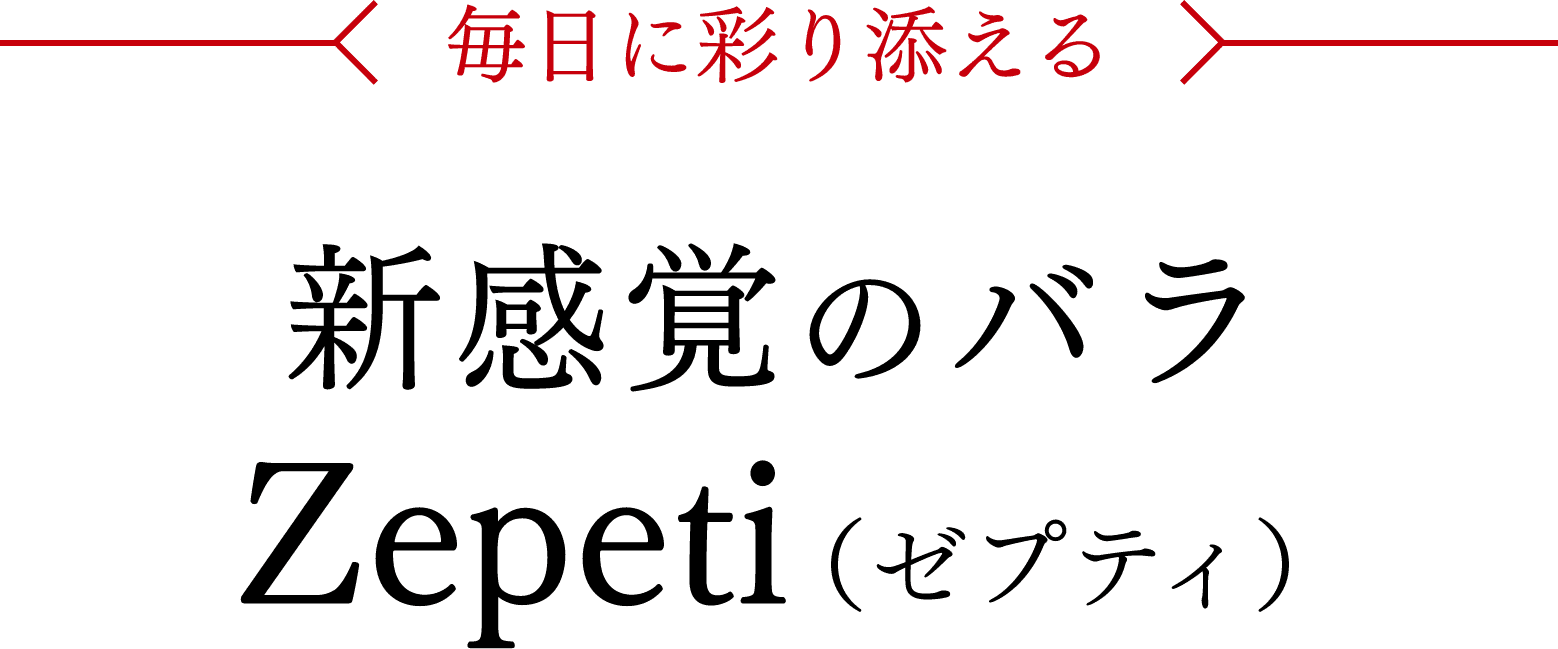 毎日に彩り添える - 進化感覚のバラZepeti（ゼプティ）
