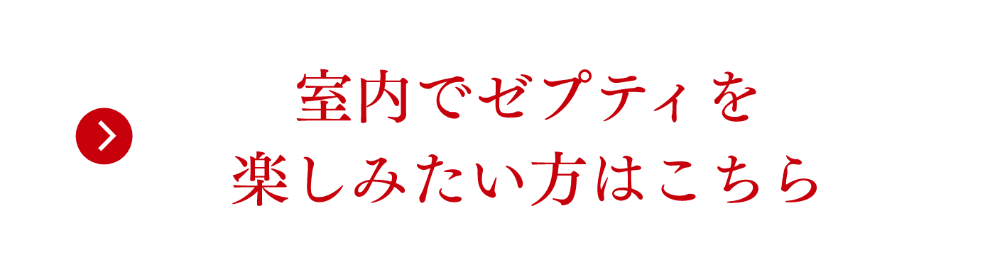 室内でゼプディを楽しみたい方はこちら