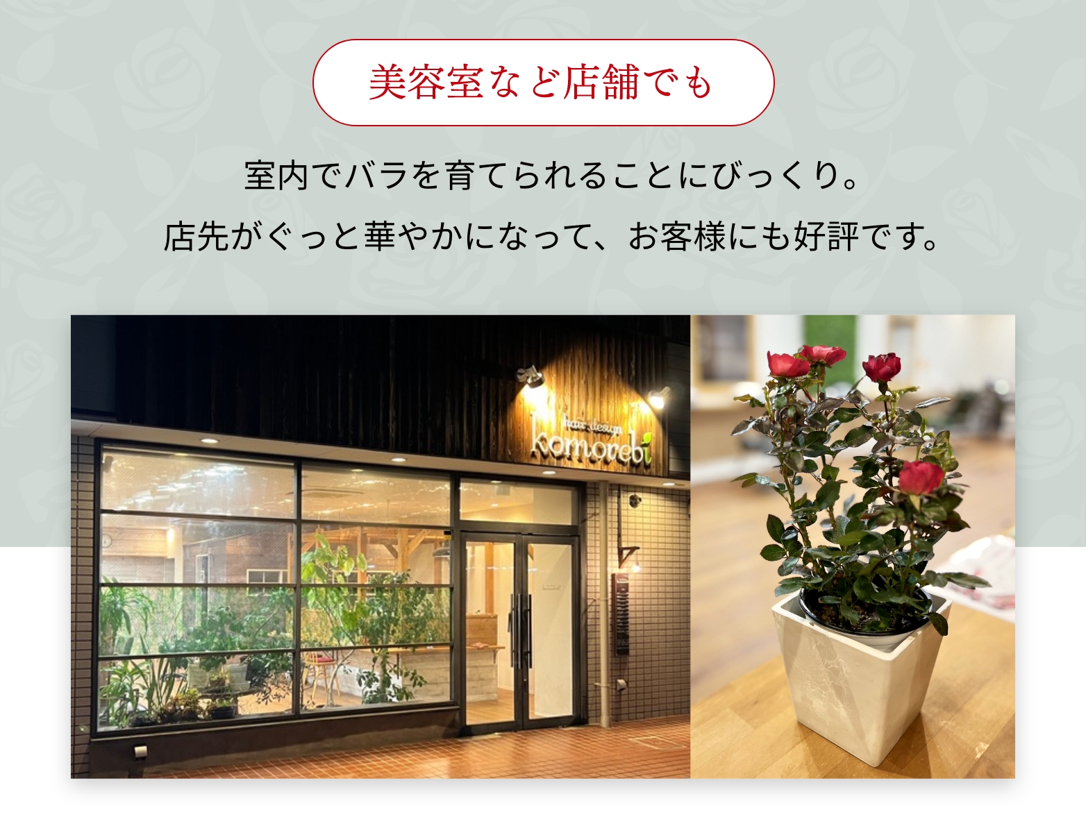 美容室など店舗でも