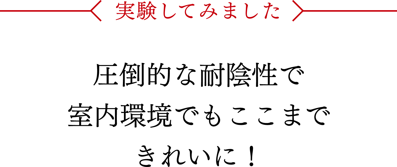 実験してみました：圧倒的な耐陰性で室内環境でもここまできれいに！