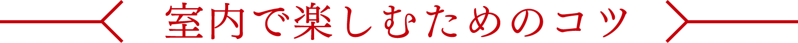 室内で楽しむためのコツ