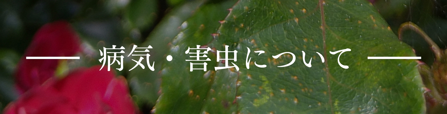 病気・害虫について