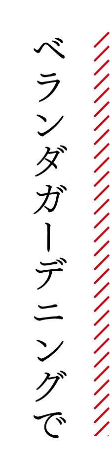 ベランダガーデニングで