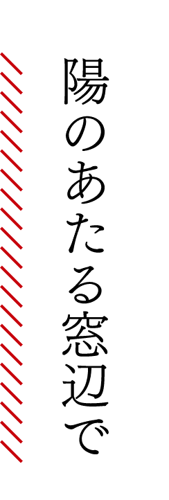陽のあたる窓辺で
