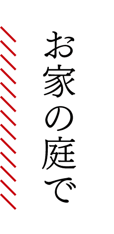 お家の庭で