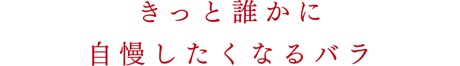 きっと誰かに自慢したくなるバラ