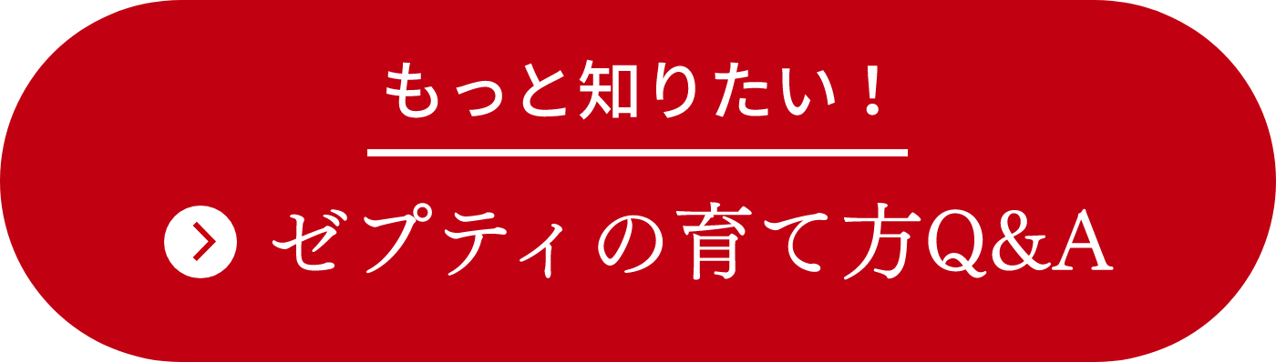 ご購入いただいた方にもっと知りたいゼプティ